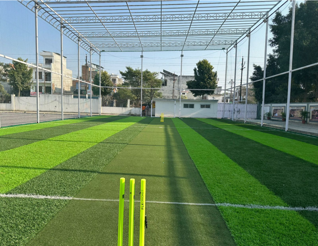 Cricket Turf